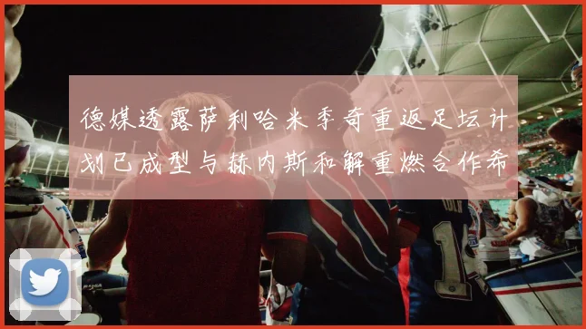 德媒透露萨利哈米季奇重返足坛计划已成型与赫内斯和解重燃合作希望
